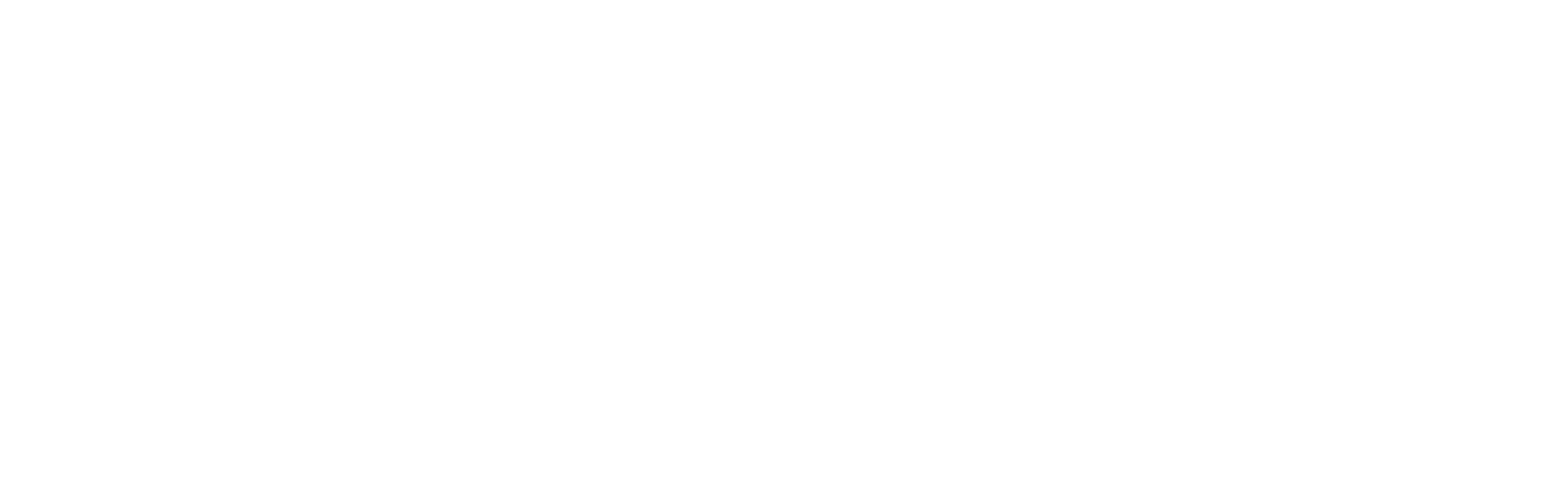 Hofmann Experience